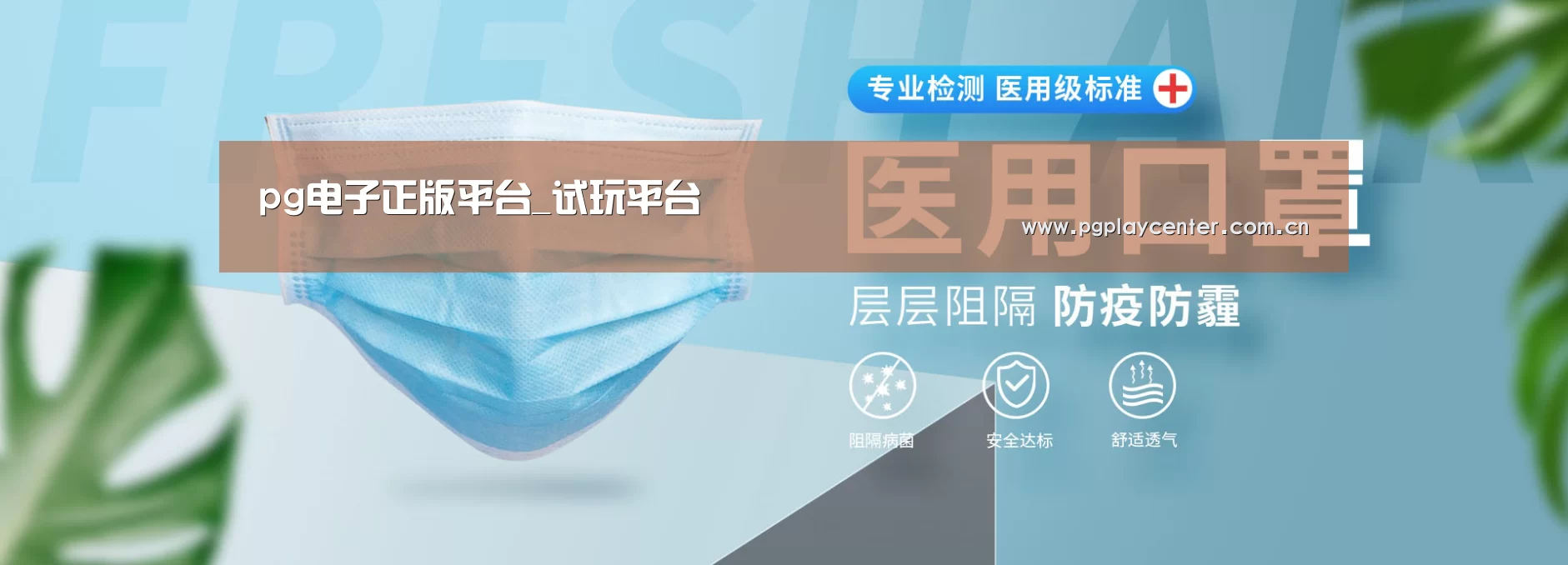 某某口罩防护用品有限公司