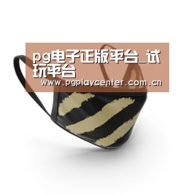 成人布口罩