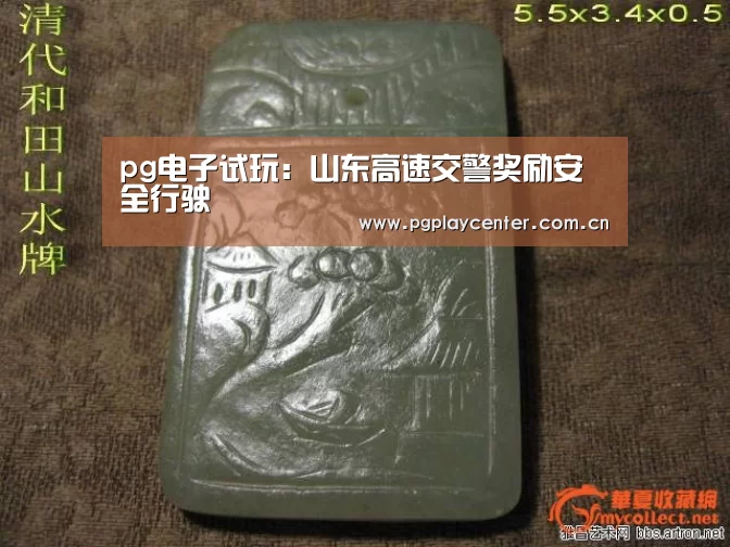 pg模拟器