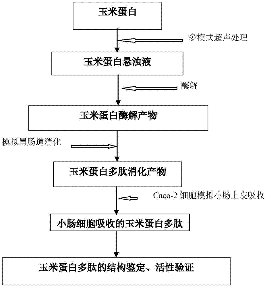 pg模拟器在线试玩