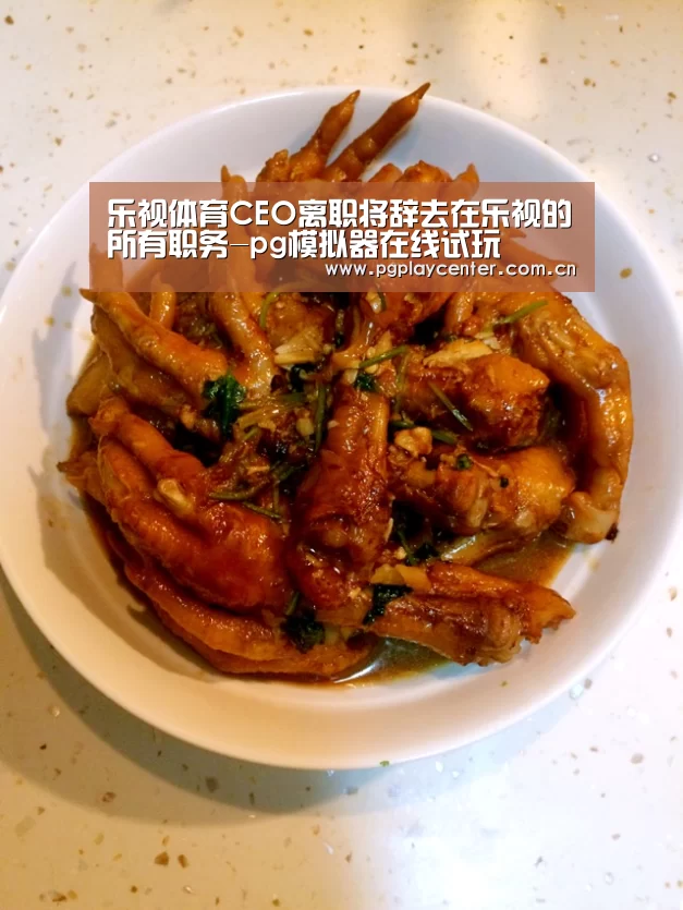 乐视体育CEO离职将辞去在乐视的所有职务-pg模拟器在线试玩(图2) pg模拟器