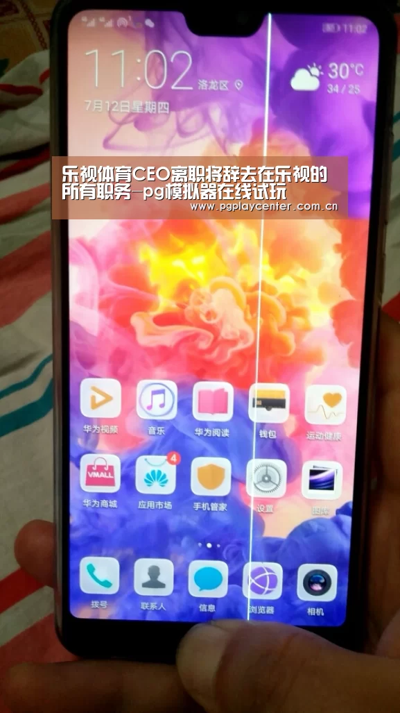 乐视体育CEO离职将辞去在乐视的所有职务-pg模拟器在线试玩(图4) pg模拟器在线试玩