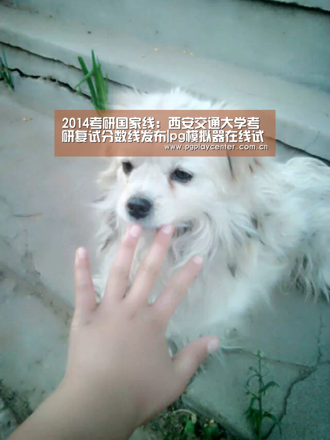 2014考研国家线：西安交通大学考研复试分数线发布|pg模拟器在线试玩