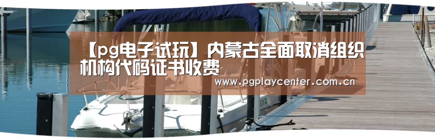 pg电子试玩