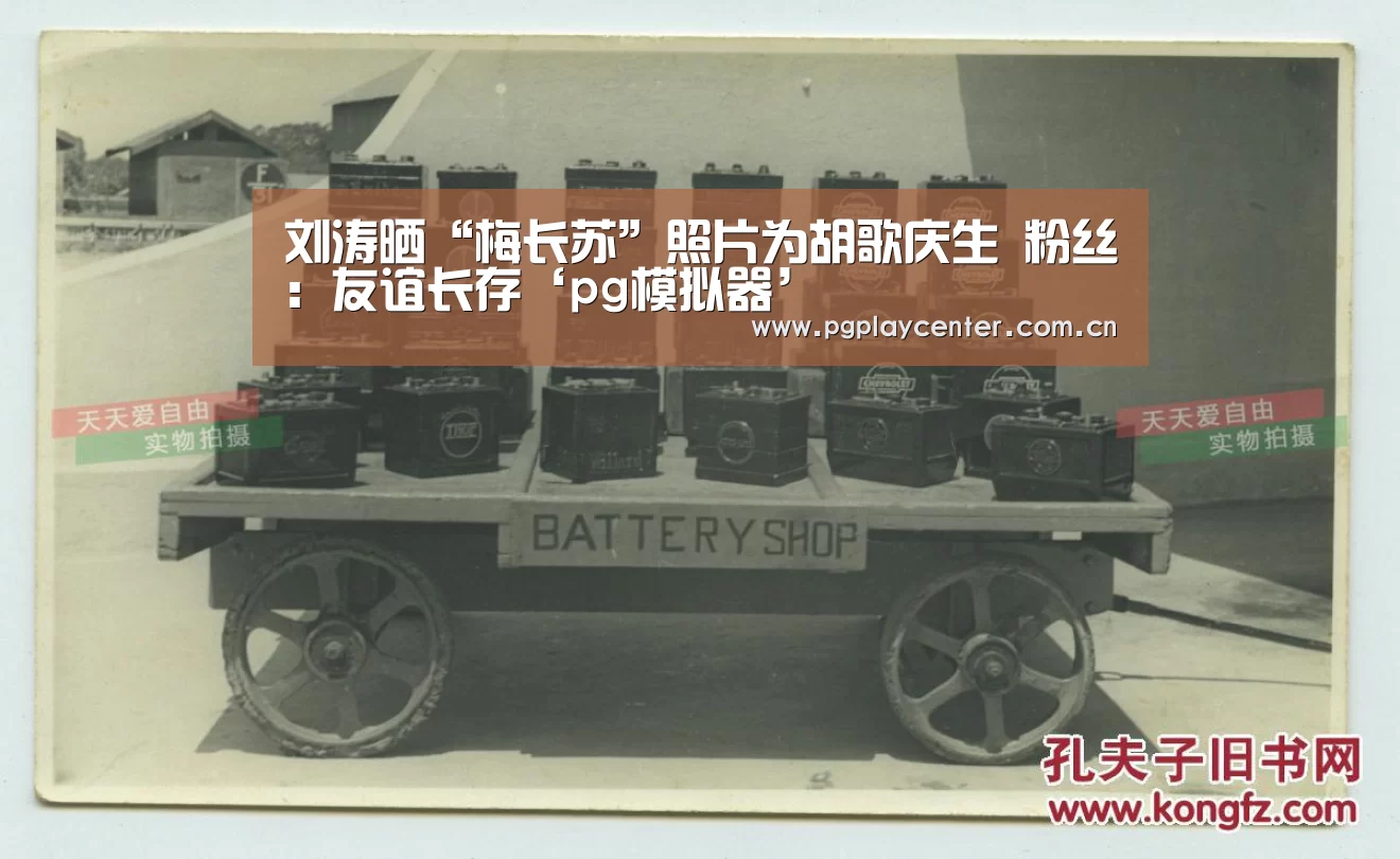 刘涛晒“梅长苏”照片为胡歌庆生 粉丝：友谊长存‘pg模拟器’
