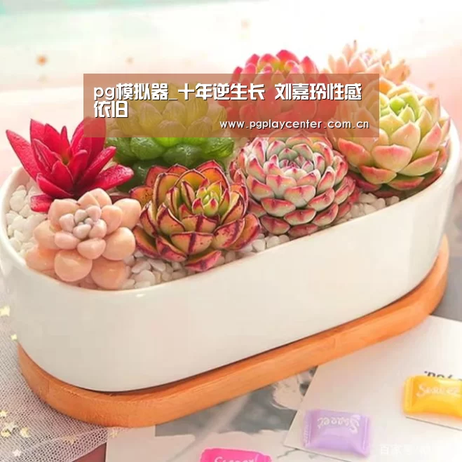 pg模拟器在线试玩