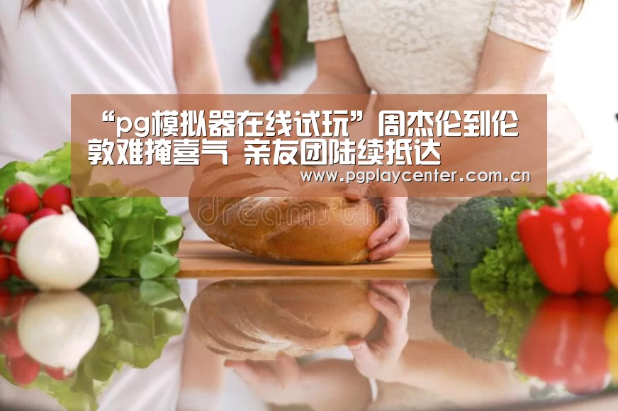 pg模拟器