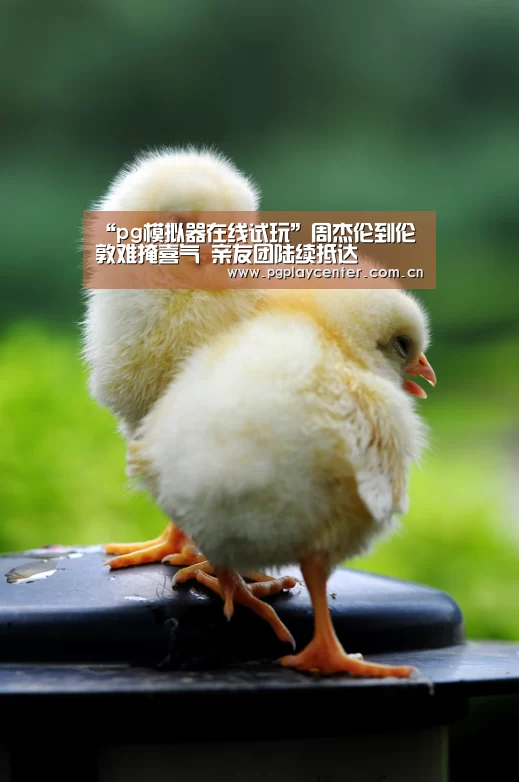 pg电子试玩