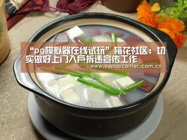 pg模拟器