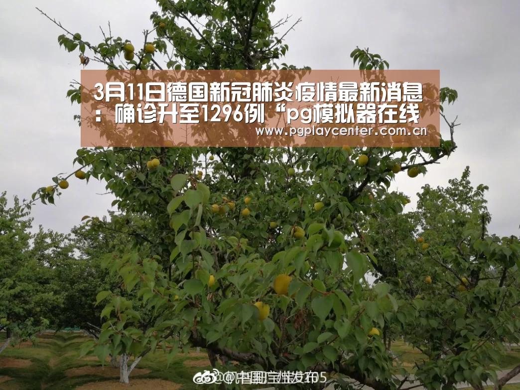pg模拟器