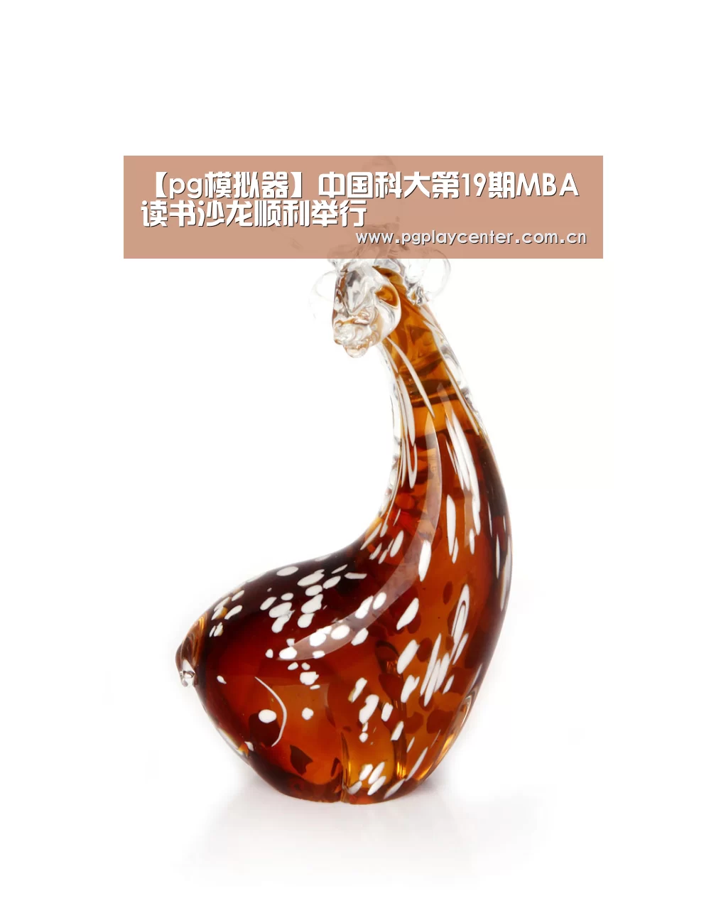 【pg模拟器】中国科大第19期MBA读书沙龙顺利举行