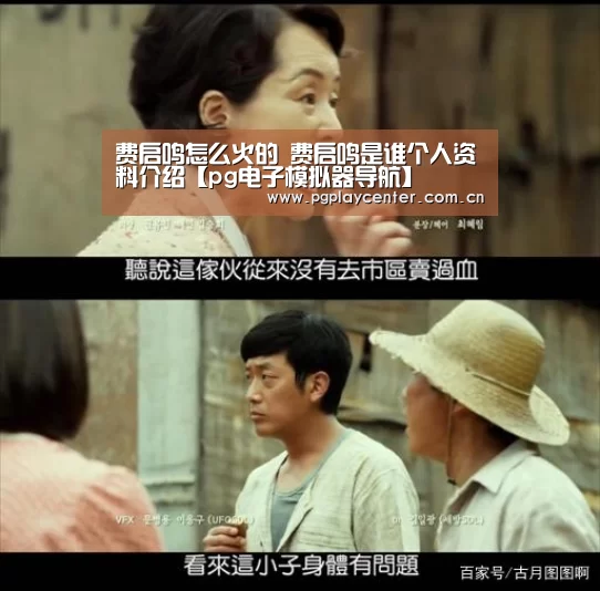 费启鸣怎么火的 费启鸣是谁个人资料介绍【pg电子模拟器导航】
