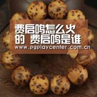 pg电子模拟器导航