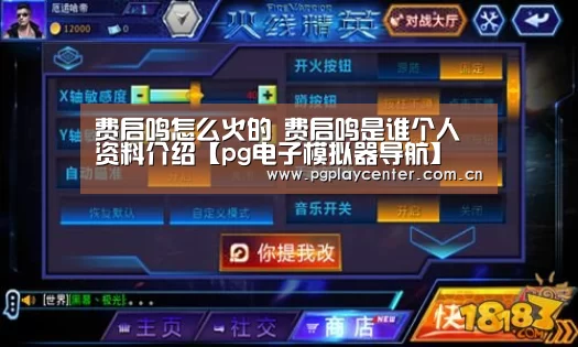 pg模拟器