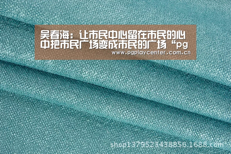 吴春海：让市民中心留在市民的心中把市民广场变成市民的广场“pg模拟器”