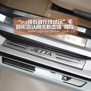 pg模拟器