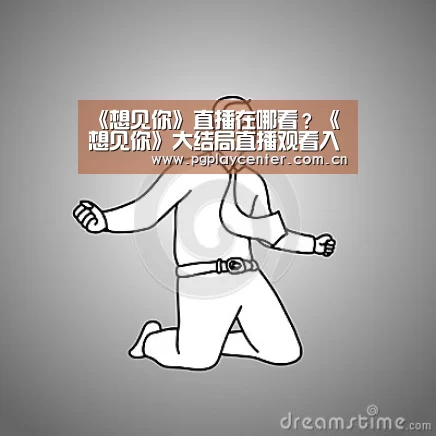 pg模拟器