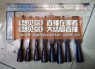 pg模拟器