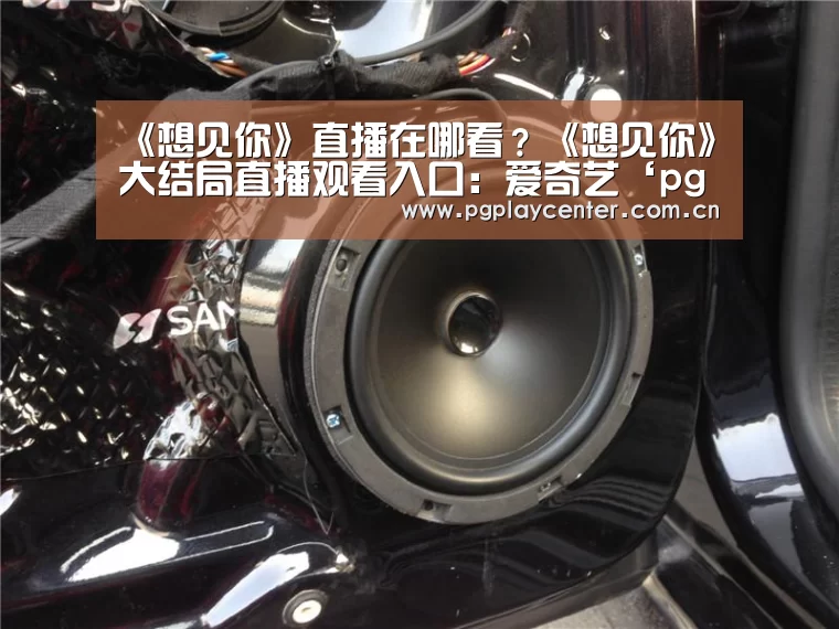 pg模拟器
