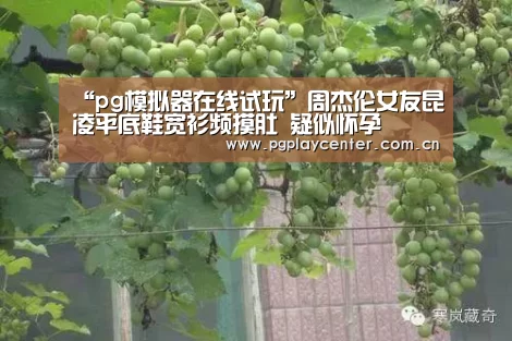 pg模拟器