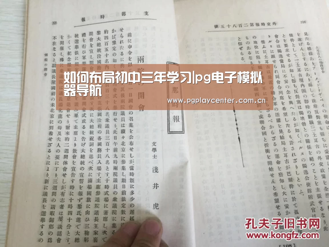 pg模拟器